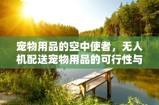 宠物用品的空中使者，无人机配送宠物用品的可行性与挑战？