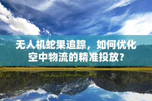 无人机蛇果追踪，如何优化空中物流的精准投放？
