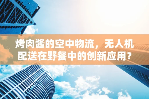 烤肉酱的空中物流，无人机配送在野餐中的创新应用？