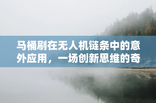 马桶刷在无人机链条中的意外应用，一场创新思维的奇妙之旅？