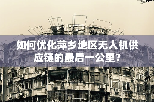 如何优化萍乡地区无人机供应链的最后一公里？