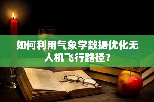 如何利用气象学数据优化无人机飞行路径？