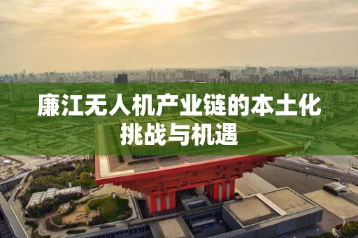 廉江无人机产业链的本土化挑战与机遇