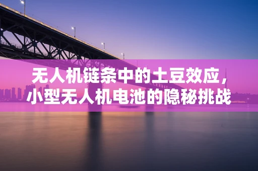 无人机链条中的土豆效应，小型无人机电池的隐秘挑战