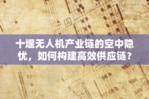 十堰无人机产业链的空中隐忧，如何构建高效供应链？