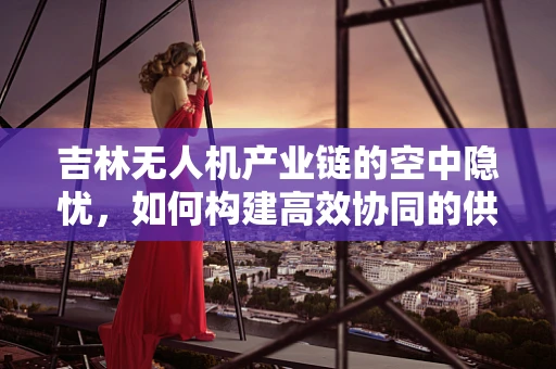 吉林无人机产业链的空中隐忧，如何构建高效协同的供应链体系？