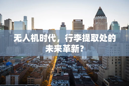 无人机时代，行李提取处的未来革新？