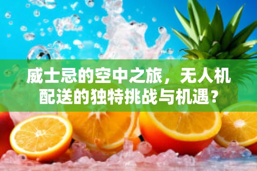 威士忌的空中之旅，无人机配送的独特挑战与机遇？