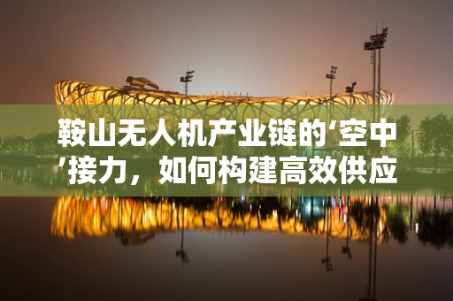 鞍山无人机产业链的‘空中’接力，如何构建高效供应链？
