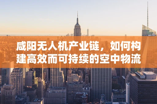 咸阳无人机产业链，如何构建高效而可持续的空中物流网络？