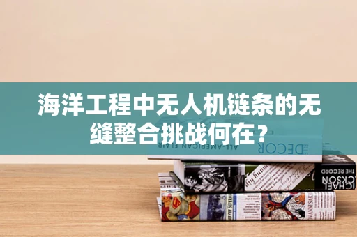 海洋工程中无人机链条的无缝整合挑战何在？