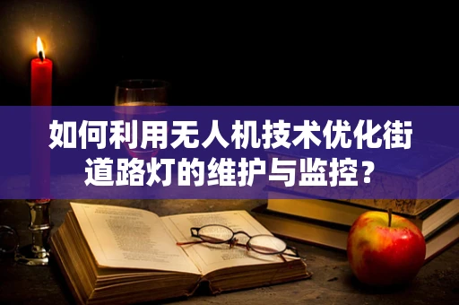 如何利用无人机技术优化街道路灯的维护与监控？