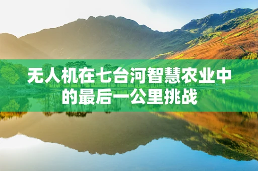 无人机在七台河智慧农业中的最后一公里挑战