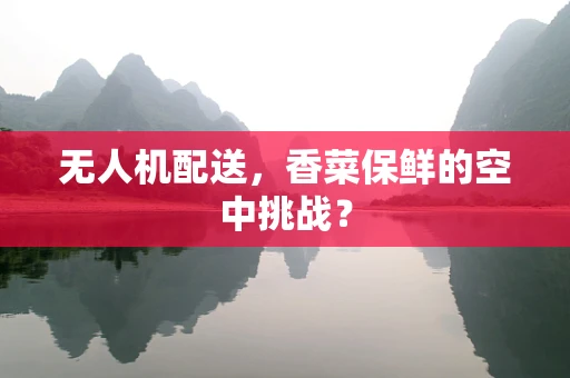 无人机配送，香菜保鲜的空中挑战？