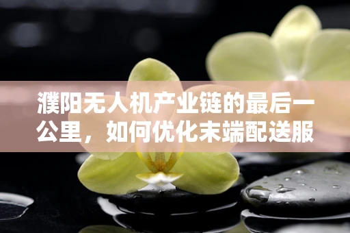 濮阳无人机产业链的最后一公里，如何优化末端配送服务？