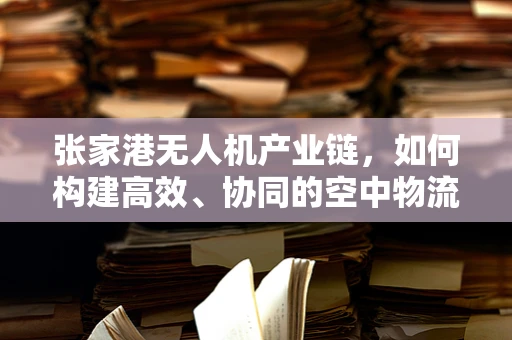 张家港无人机产业链，如何构建高效、协同的空中物流网络？