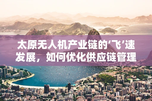 太原无人机产业链的‘飞’速发展，如何优化供应链管理以提升竞争力？