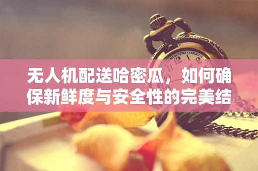 无人机配送哈密瓜，如何确保新鲜度与安全性的完美结合？