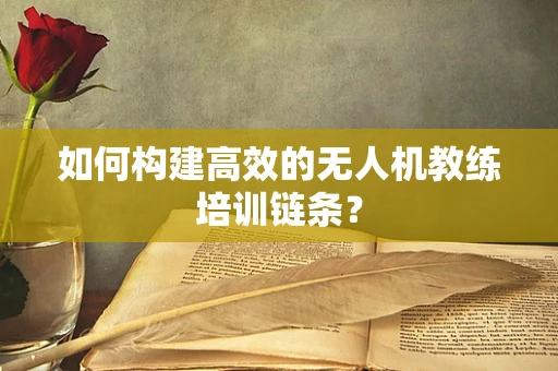 如何构建高效的无人机教练培训链条？
