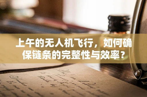 上午的无人机飞行，如何确保链条的完整性与效率？