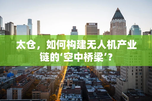 太仓，如何构建无人机产业链的‘空中桥梁’？