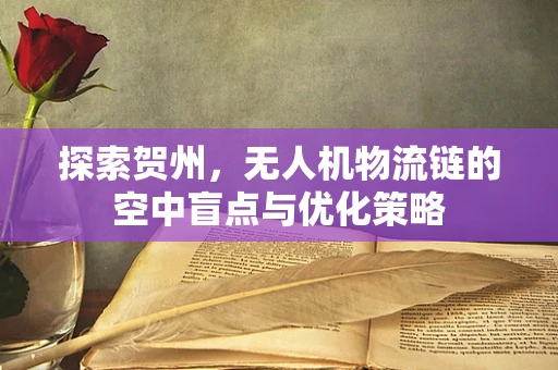 探索贺州，无人机物流链的空中盲点与优化策略