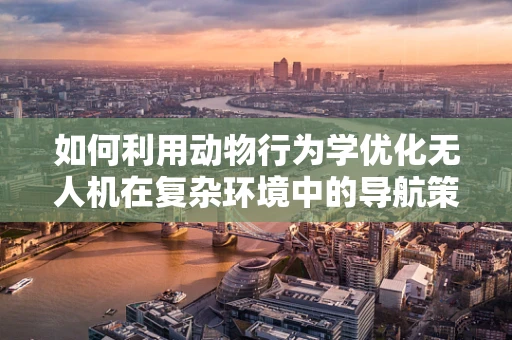 如何利用动物行为学优化无人机在复杂环境中的导航策略？
