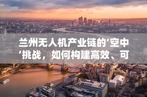 兰州无人机产业链的‘空中’挑战，如何构建高效、可持续的无人机生态系统？