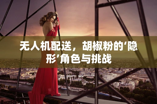 无人机配送，胡椒粉的‘隐形’角色与挑战
