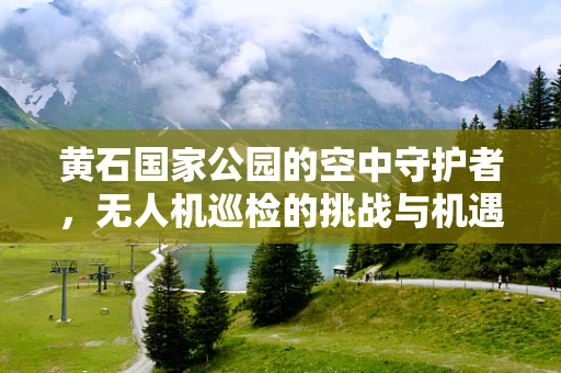 黄石国家公园的空中守护者，无人机巡检的挑战与机遇？