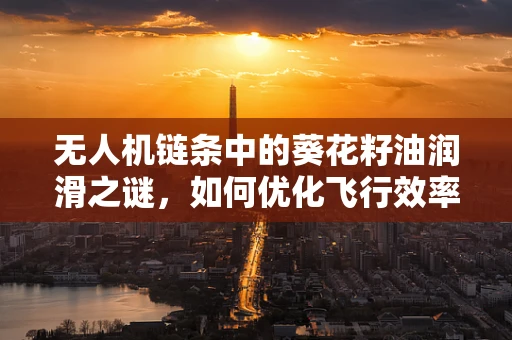 无人机链条中的葵花籽油润滑之谜，如何优化飞行效率？