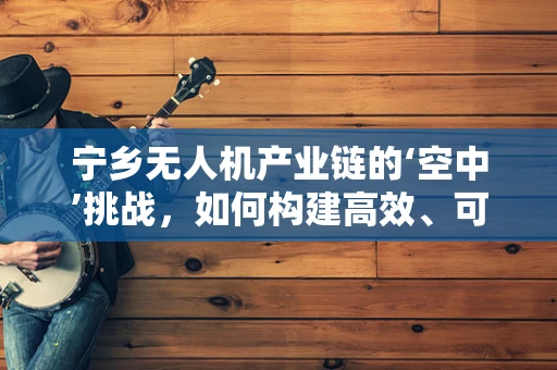 宁乡无人机产业链的‘空中’挑战，如何构建高效、可持续的供应链？