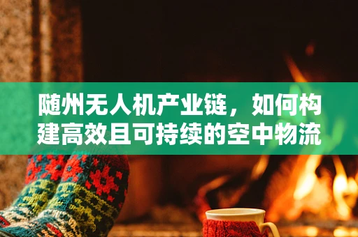 随州无人机产业链，如何构建高效且可持续的空中物流网络？