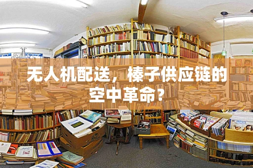 无人机配送，榛子供应链的空中革命？