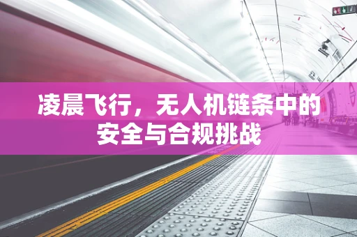 凌晨飞行，无人机链条中的安全与合规挑战