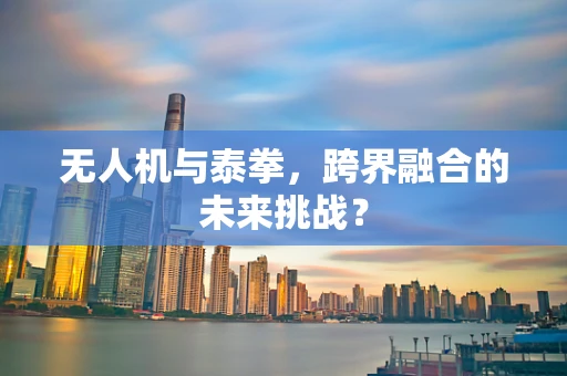无人机与泰拳，跨界融合的未来挑战？