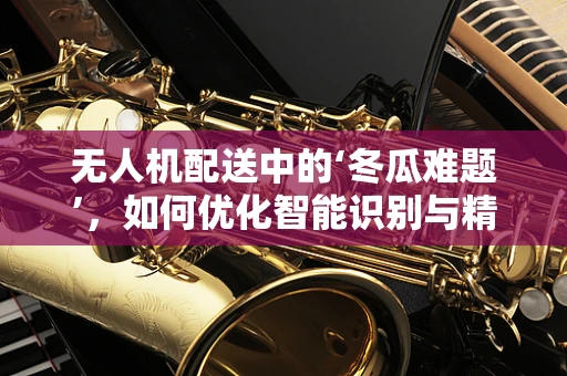 无人机配送中的‘冬瓜难题’，如何优化智能识别与精准投放？