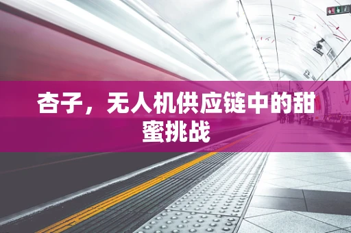 杏子，无人机供应链中的甜蜜挑战