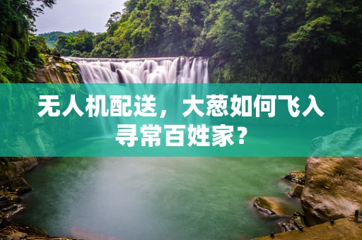 无人机配送，大葱如何飞入寻常百姓家？