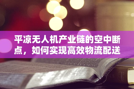 平凉无人机产业链的空中断点，如何实现高效物流配送？