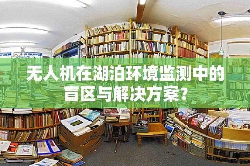 无人机在湖泊环境监测中的盲区与解决方案？