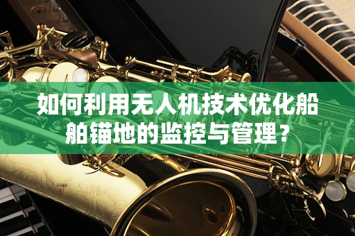 如何利用无人机技术优化船舶锚地的监控与管理？