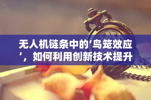 无人机链条中的‘鸟笼效应’，如何利用创新技术提升飞行稳定性？