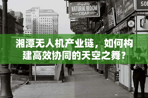 湘潭无人机产业链，如何构建高效协同的天空之舞？