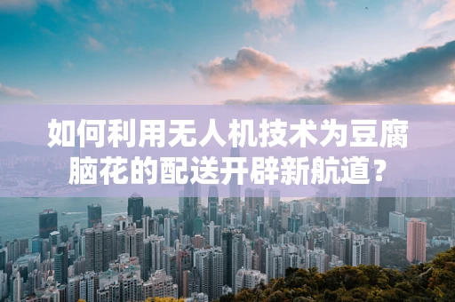 如何利用无人机技术为豆腐脑花的配送开辟新航道？