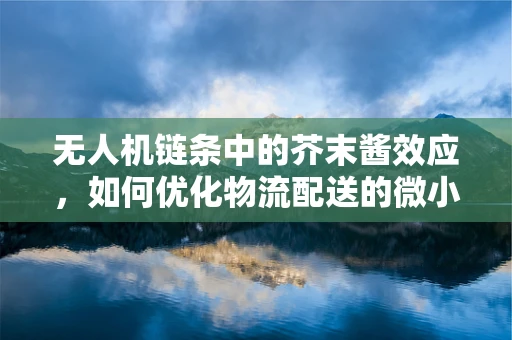 无人机链条中的芥末酱效应，如何优化物流配送的微小但关键环节？