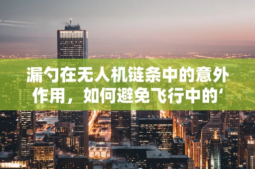 漏勺在无人机链条中的意外作用，如何避免飞行中的‘遗漏’？