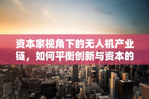 资本家视角下的无人机产业链，如何平衡创新与资本的双重驱动？