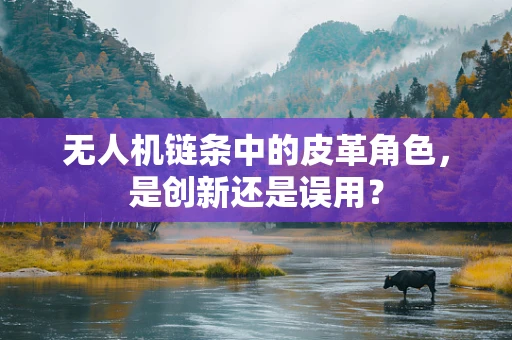 无人机链条中的皮革角色，是创新还是误用？