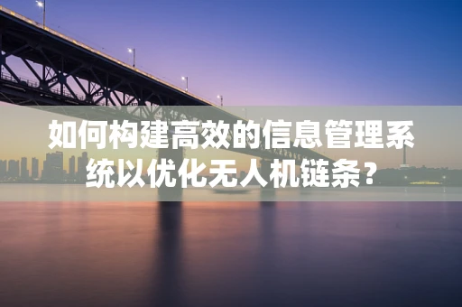 如何构建高效的信息管理系统以优化无人机链条？